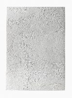 Célio Braga, 05. Untitled (White Blur), 2017. Cuts and carvings on paper. 29.5 x 21 cm
PHŒBUS•Rotterdam